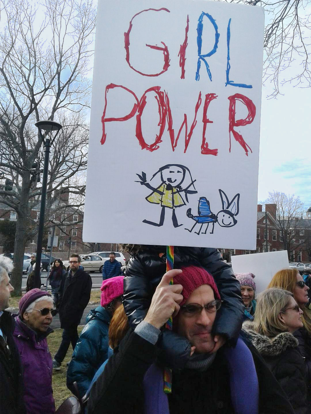 A protester in the January 20th 2018 rally on the Cambridge Common in Cambridge, MA, commemorating the one-year anniversary of the Women March of January 2017.