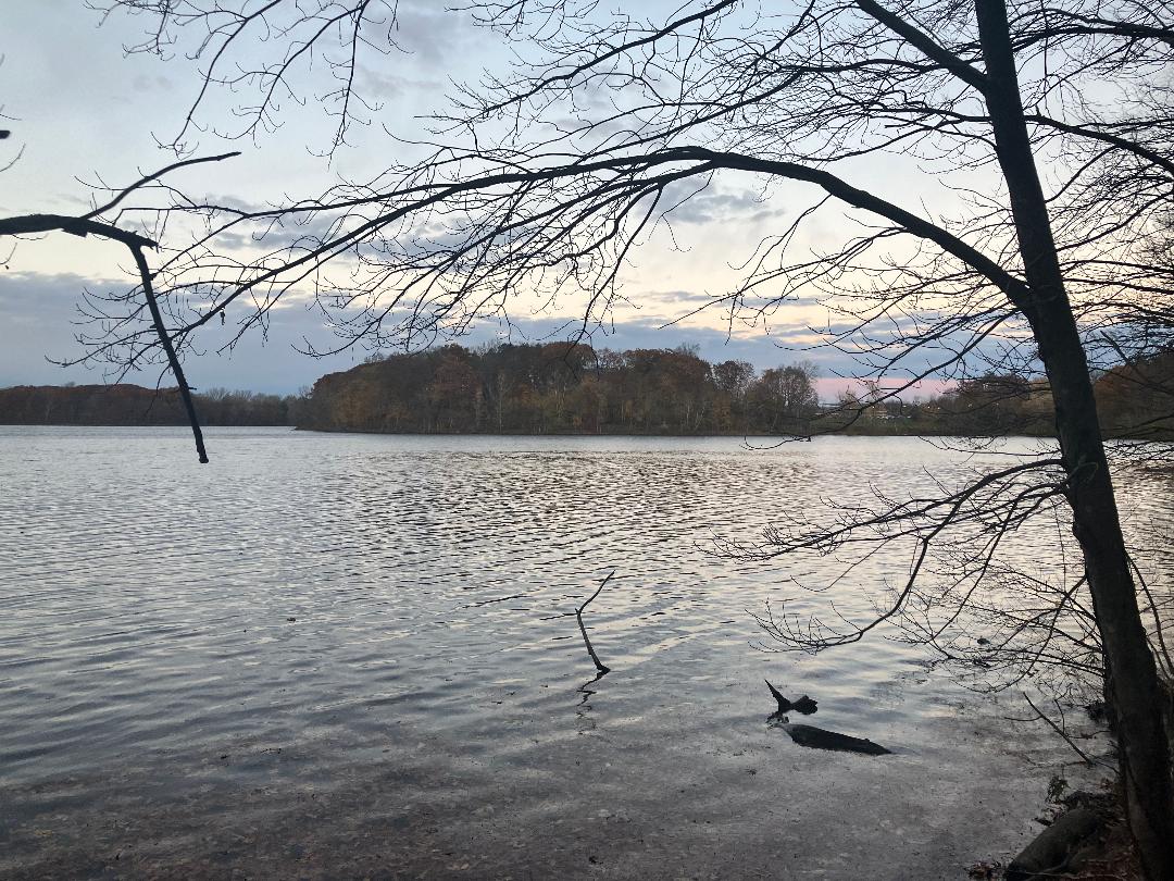 Lak “Fresh Pond” nan Cambridge, Massachusetts.