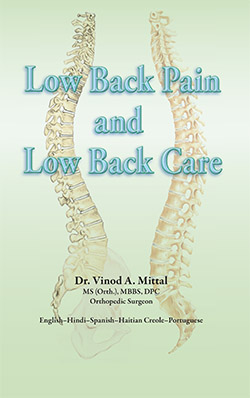 The front cover of “Low back pain and low back care”.